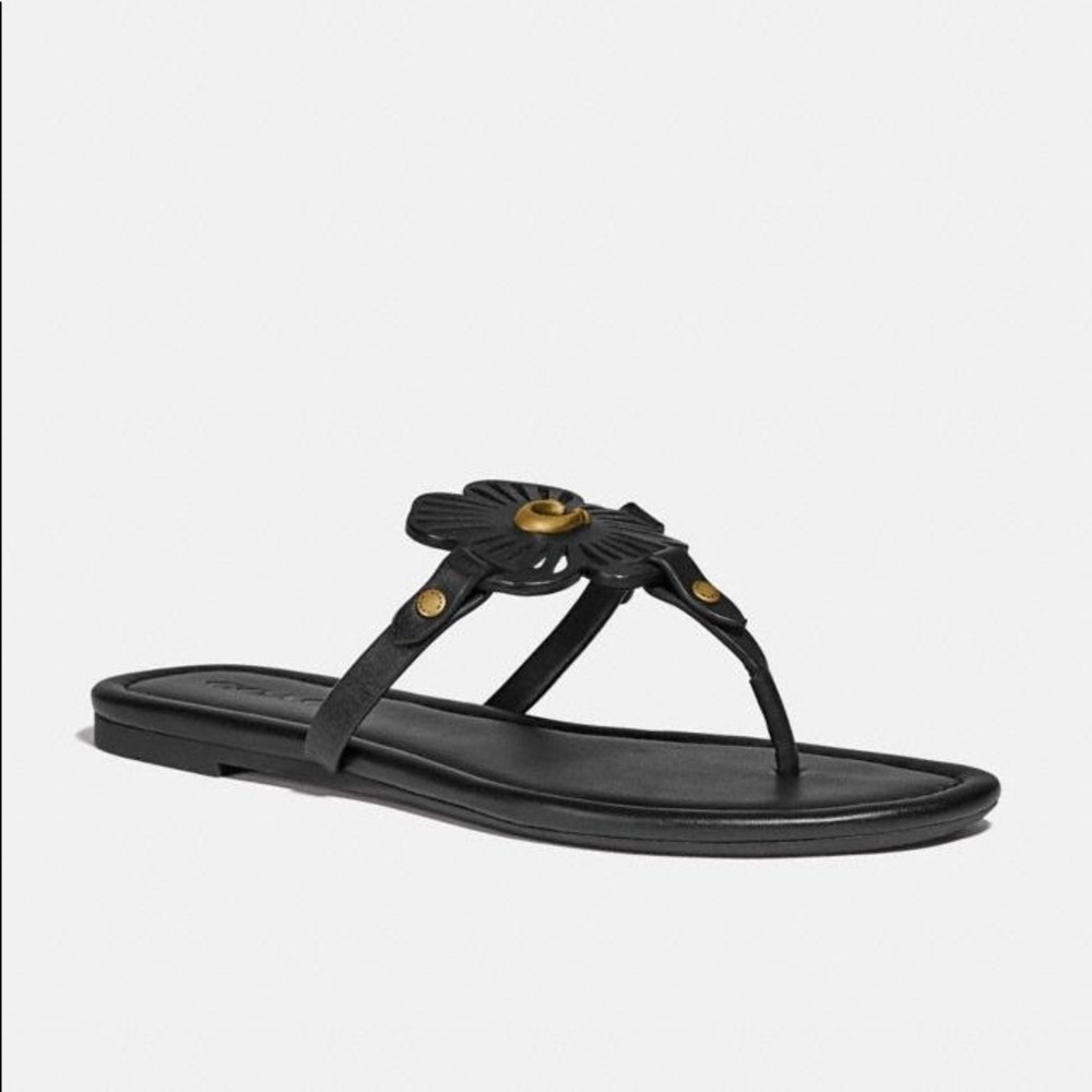 COACH JULIA SANDALS in black new in box women’s 7 - Picture 5 of 10